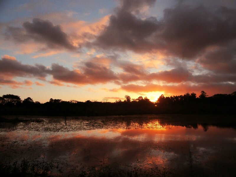 Sunset over Wetland — Orange, Dramatic, Photograph, Sky
