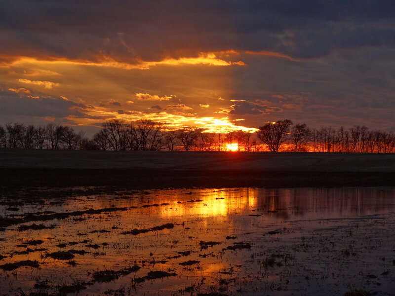 Sunset over Wetland — Orange, Dramatic, Photograph, Trees
