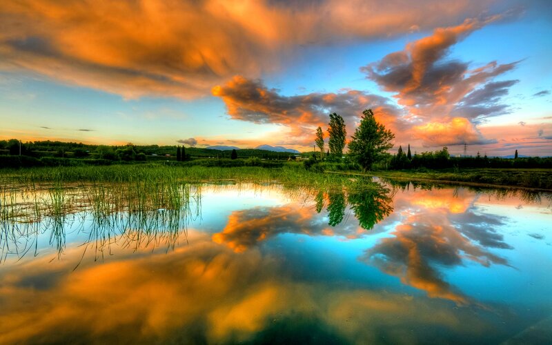 Sunset over Wetland — Orange, Dramatic