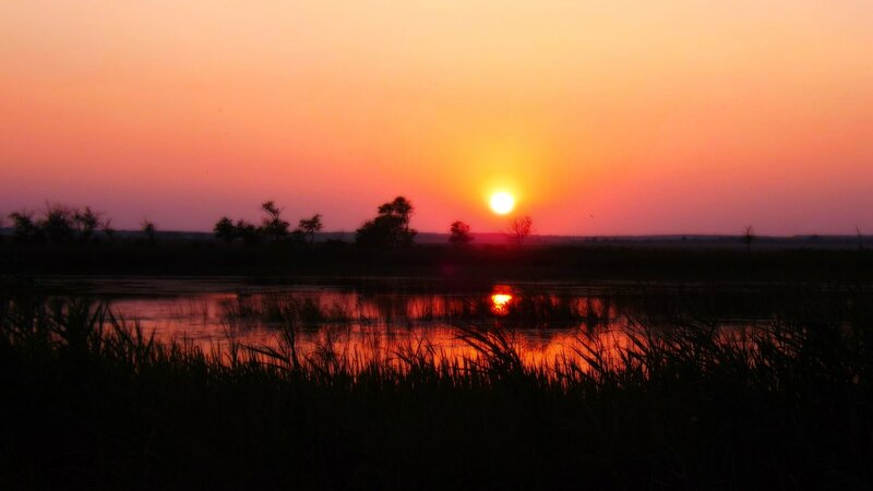 Sunset over Wetland — Orange, Serene, Photograph
