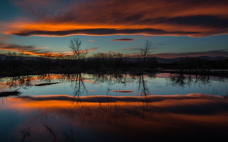 Sunset over Wetland — Orange, Serene, Photograph, Trees