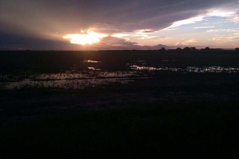Sunset over Wetland — Purple, Dramatic, Photograph