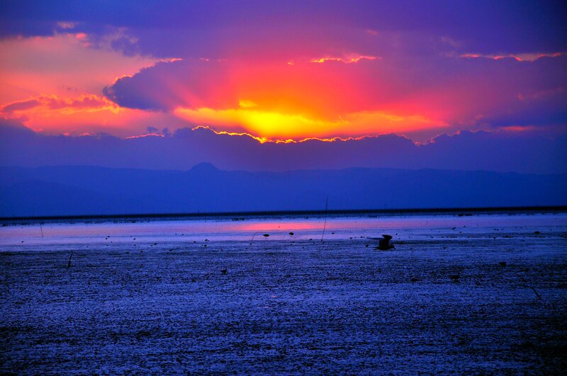 Sunset over Wetland — Purple, Dramatic