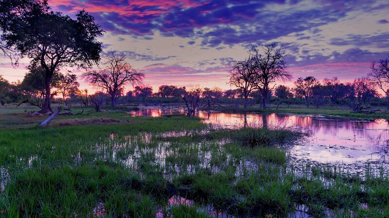 Sunset over Wetland — Purple, Serene