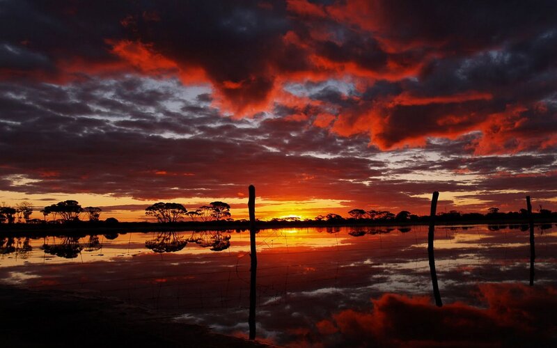 Sunset over Wetland — Red, Dramatic, Photograph