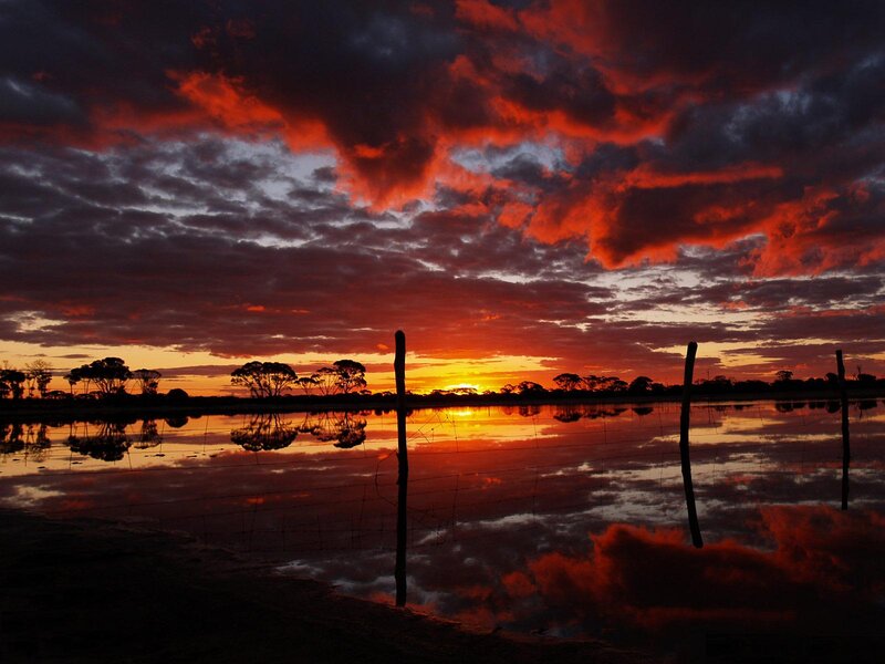 Sunset over Wetland — Red