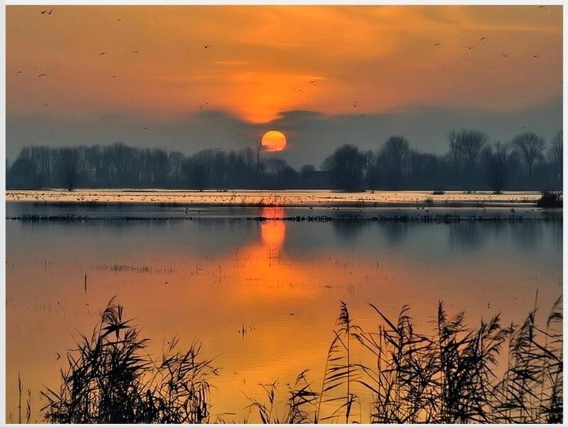 Sunset over Wetland