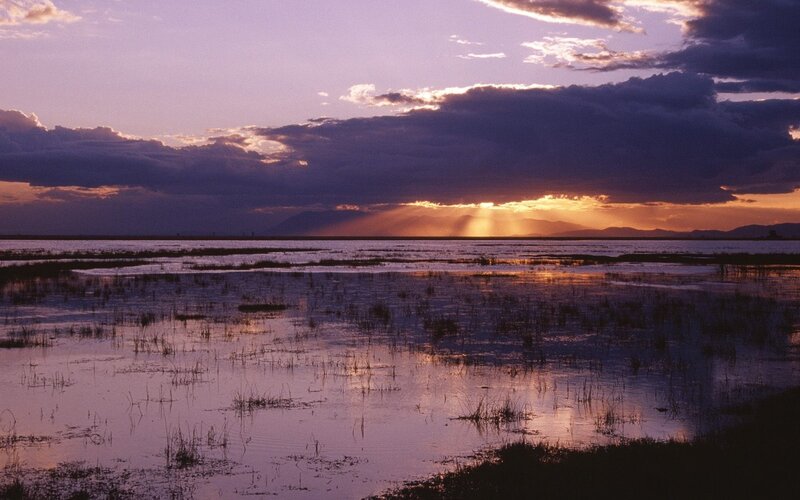 Sunset over wetlands