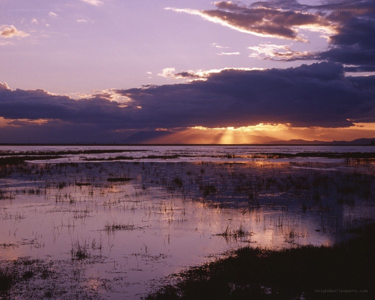 Sunset over wetlands