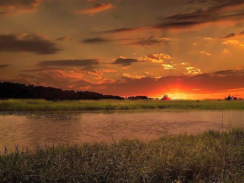 sunset over wetlands