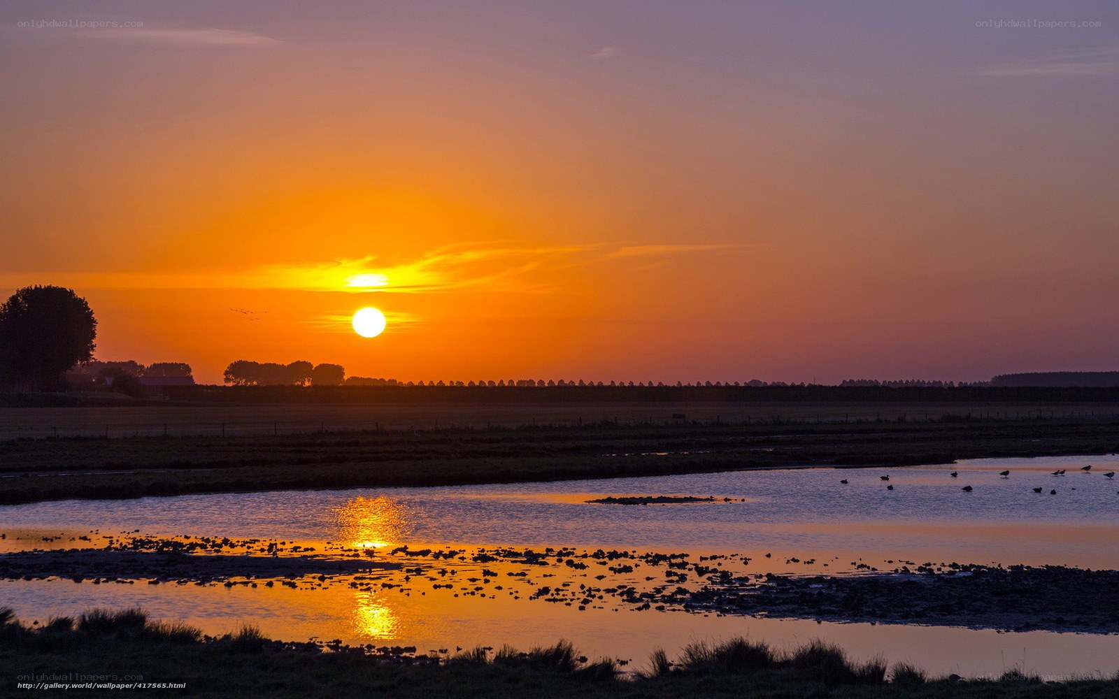 Sunset over wetlands