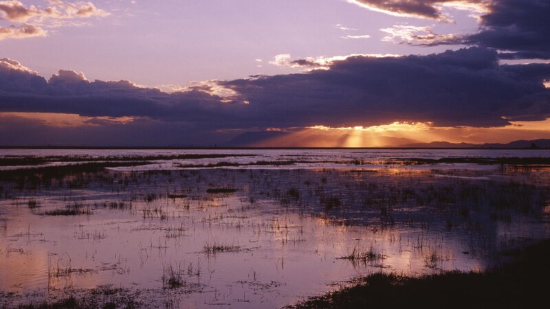 Sunset over wetlands