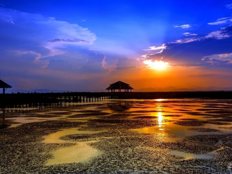 Sunset over Wetlands — Blue, Dramatic, Photograph