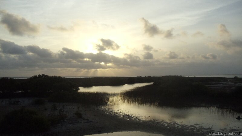 Sunset over Wetlands — Gray