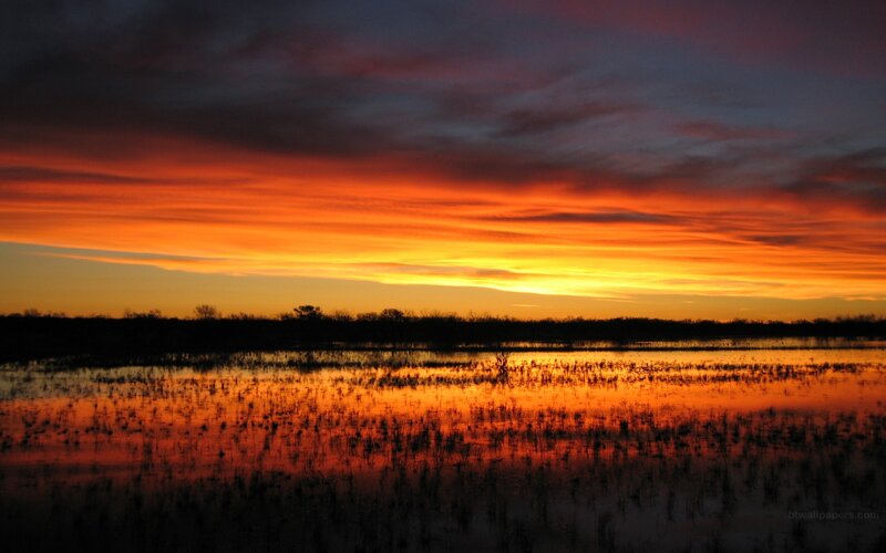 Sunset over Wetlands — Orange, Dramatic, Photograph, Sky