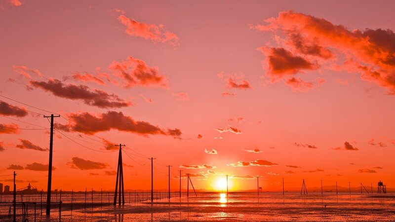 Sunset over Wetlands — Orange, Dramatic, Photograph