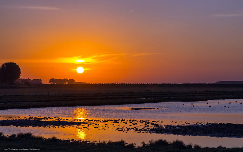 Sunset over Wetlands — Orange, Serene, Photograph, Sun
