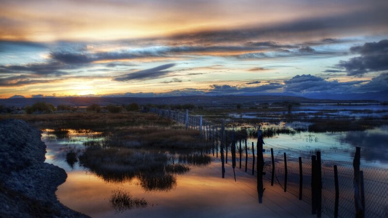 Sunset over Wetlands — Orange, Serene