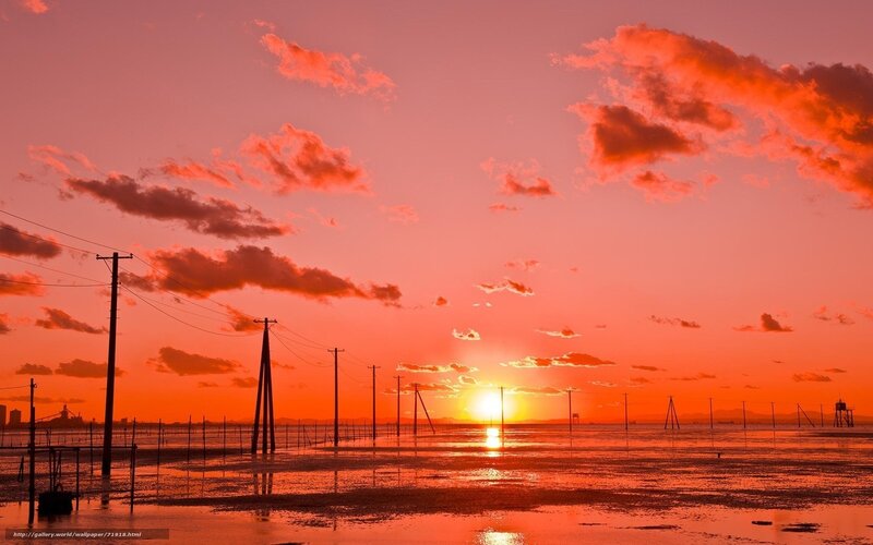 sunset over wetlands