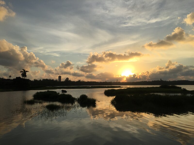 Sunset over Wetlands — Yellow