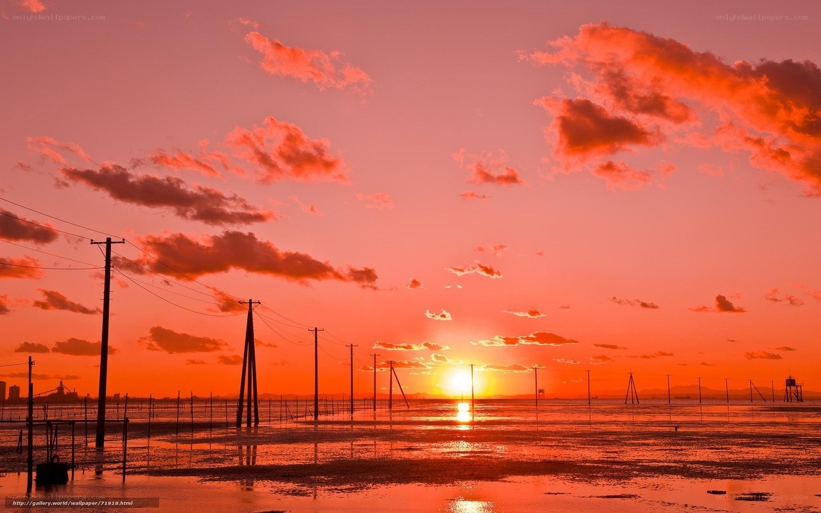 sunset over wetlands