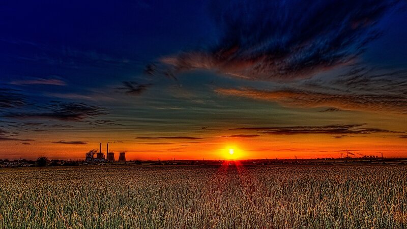 Sunset over wheat field