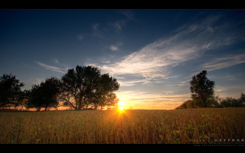Sunset over Wheat Field — Blue, Serene, Photograph