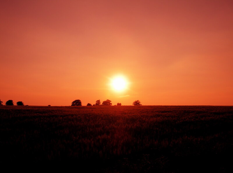 Sunset over Wheat Field — Orange, Serene, Photograph