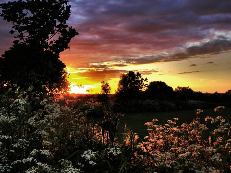 Sunset over Wildflowers — Orange, Dramatic