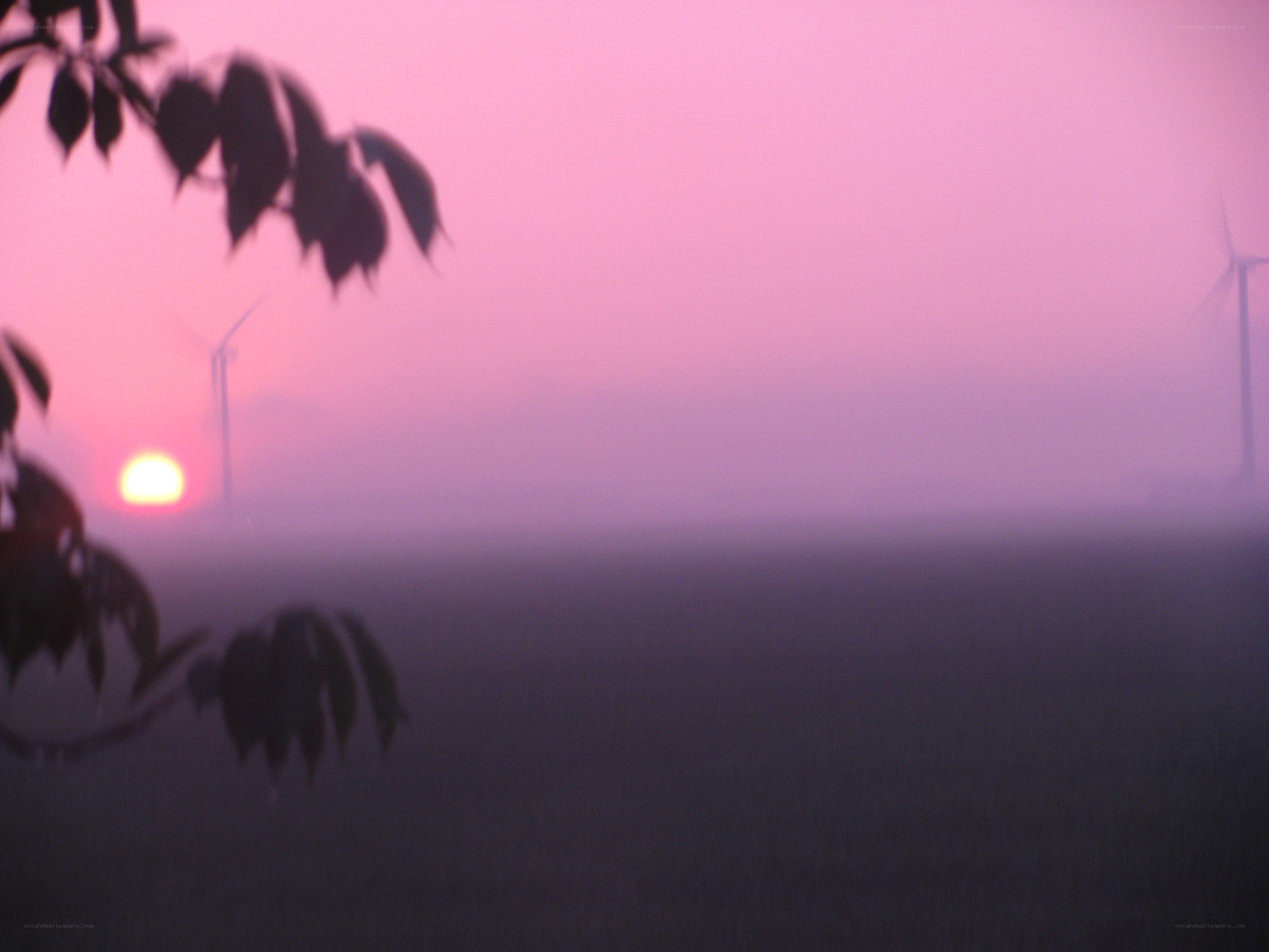 sunset over wind turbines