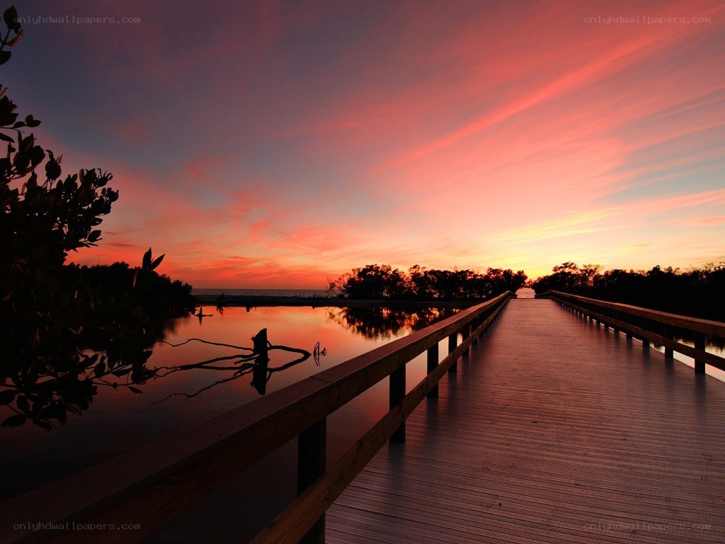 Sunset over wooden boardwalk