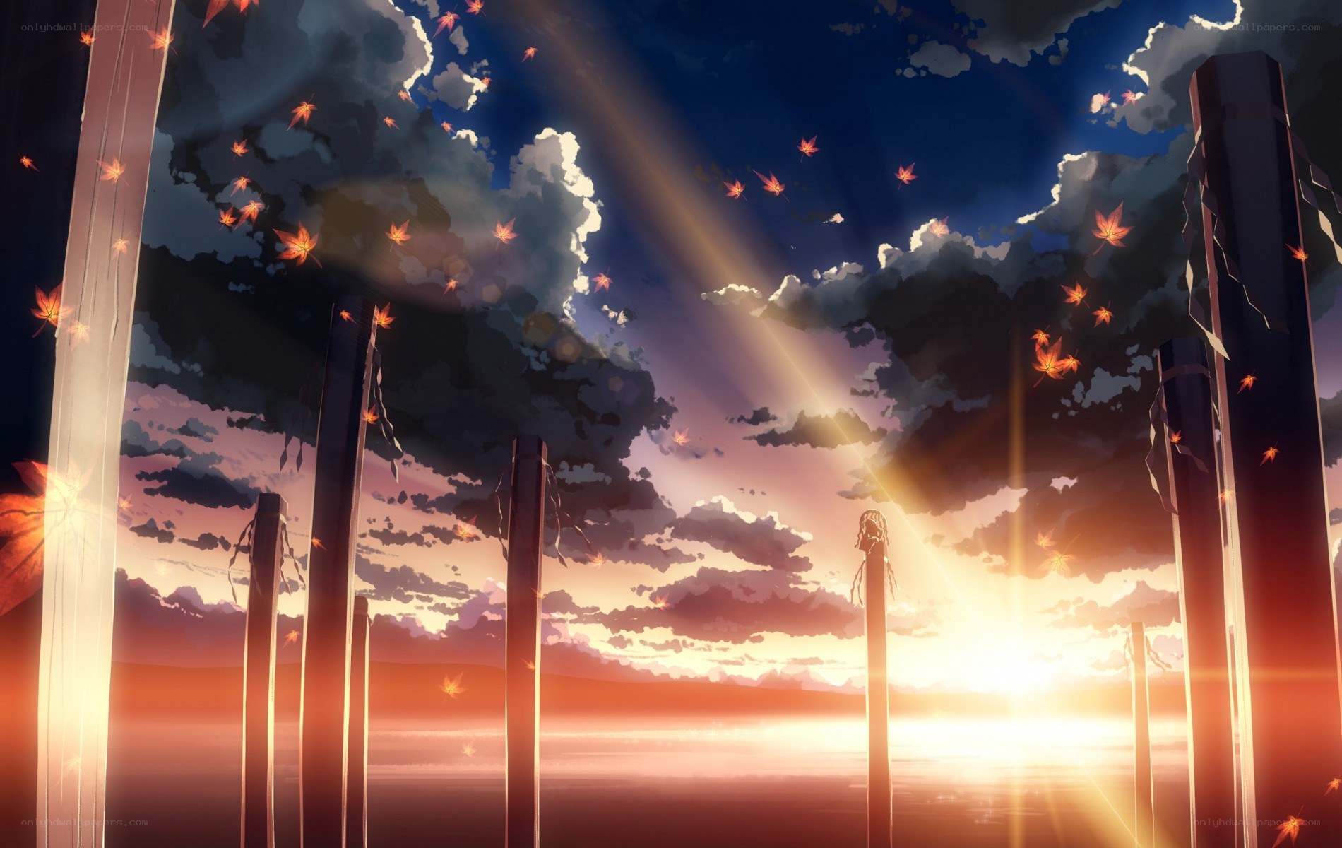 sunset over wooden poles