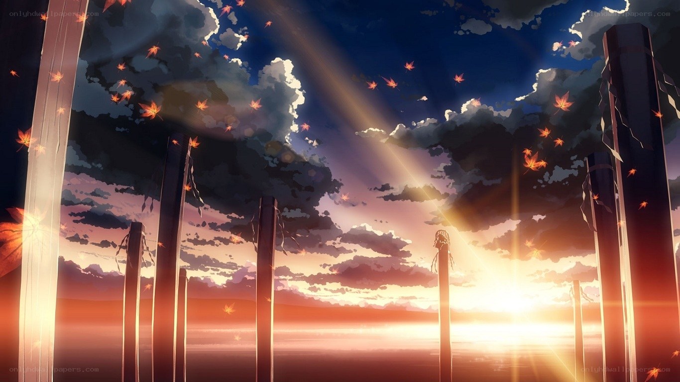sunset over wooden poles