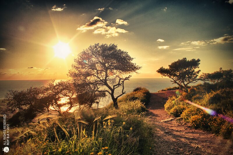 Sunset path by the sea