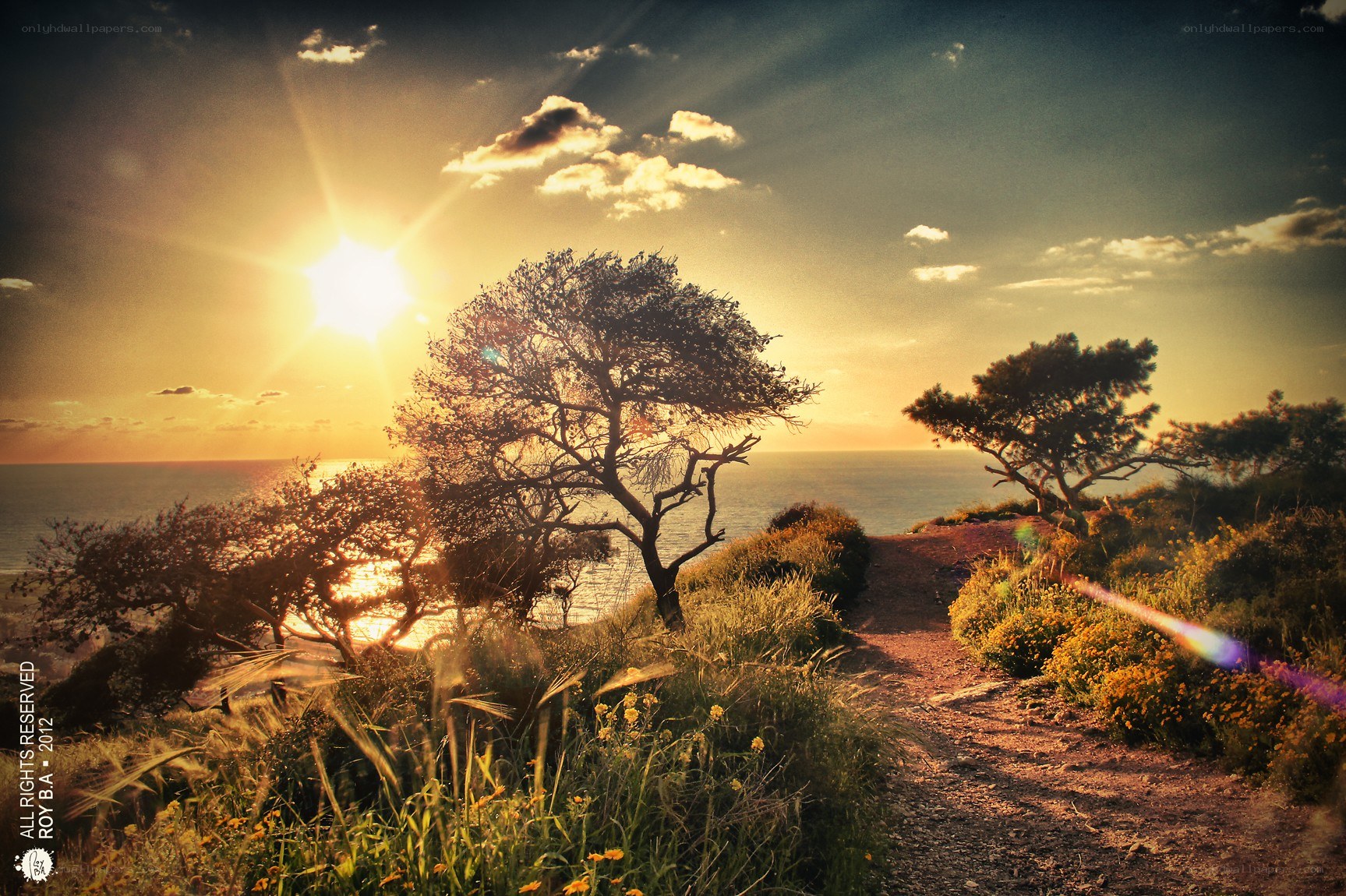 Sunset path by the sea