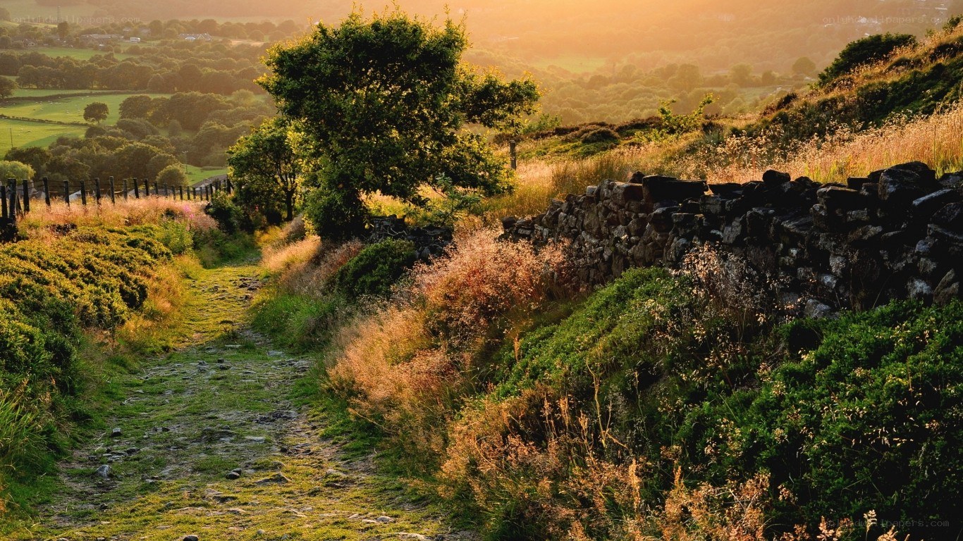 Sunset path in the countryside