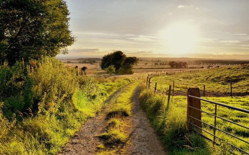 Sunset path in the countryside
