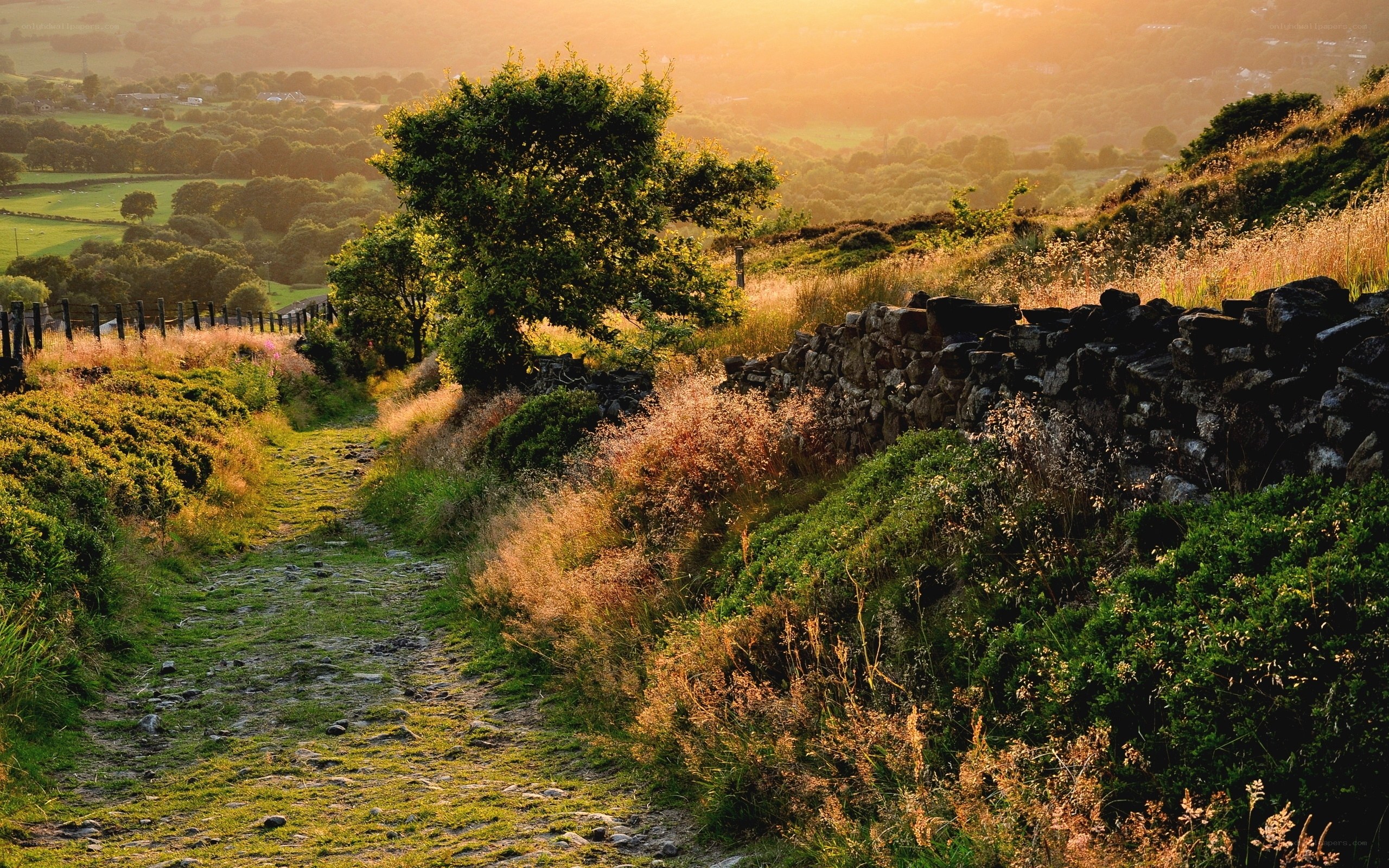 Sunset path in the countryside