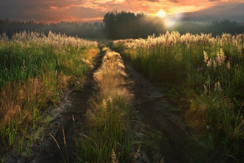 Sunset path through grassy field