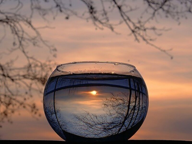 Sunset reflected in a glass bowl