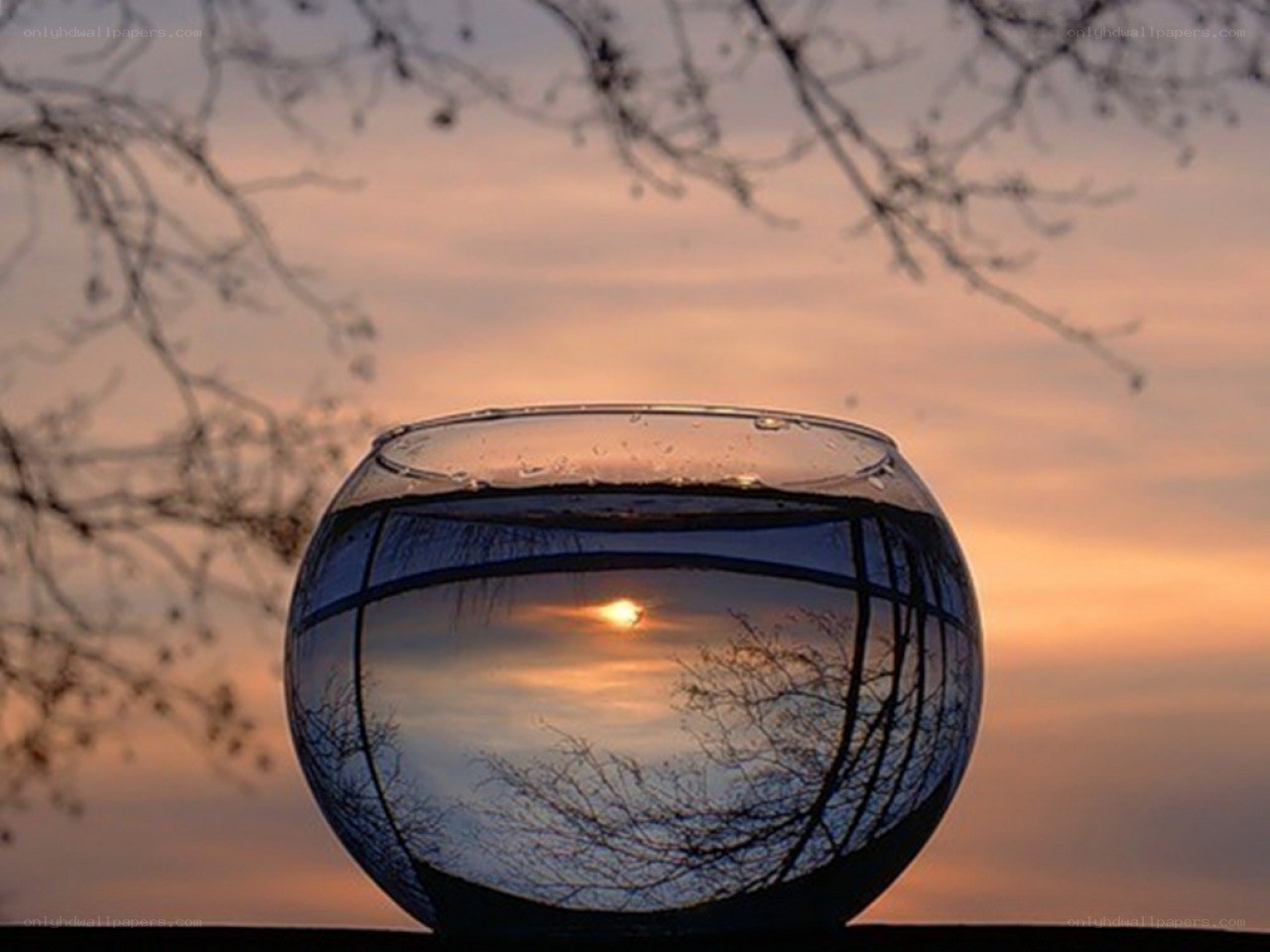 Sunset reflected in a glass bowl