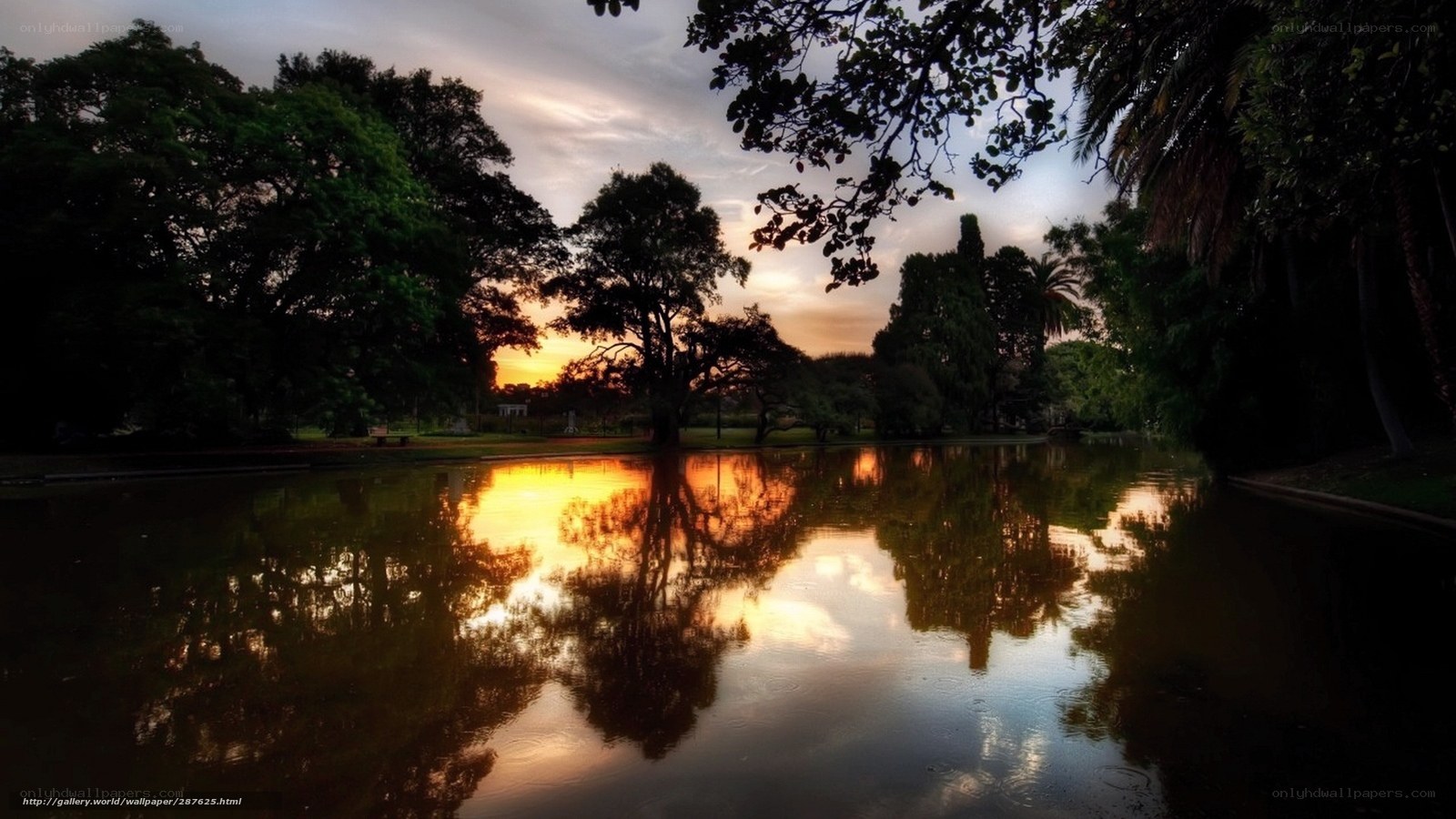 Sunset Reflection in Park Pond