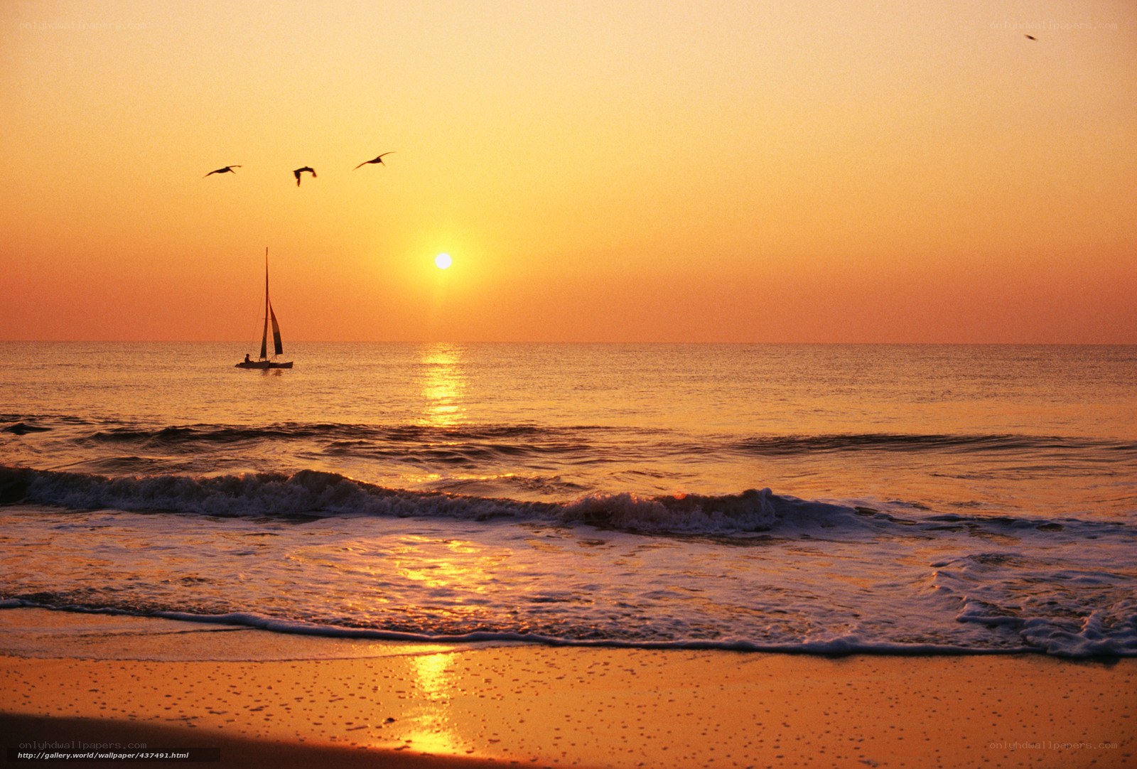 Sunset sailboat at the beach