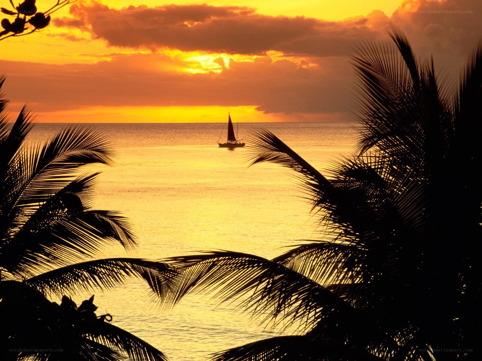sunset sailboat at tropical beach