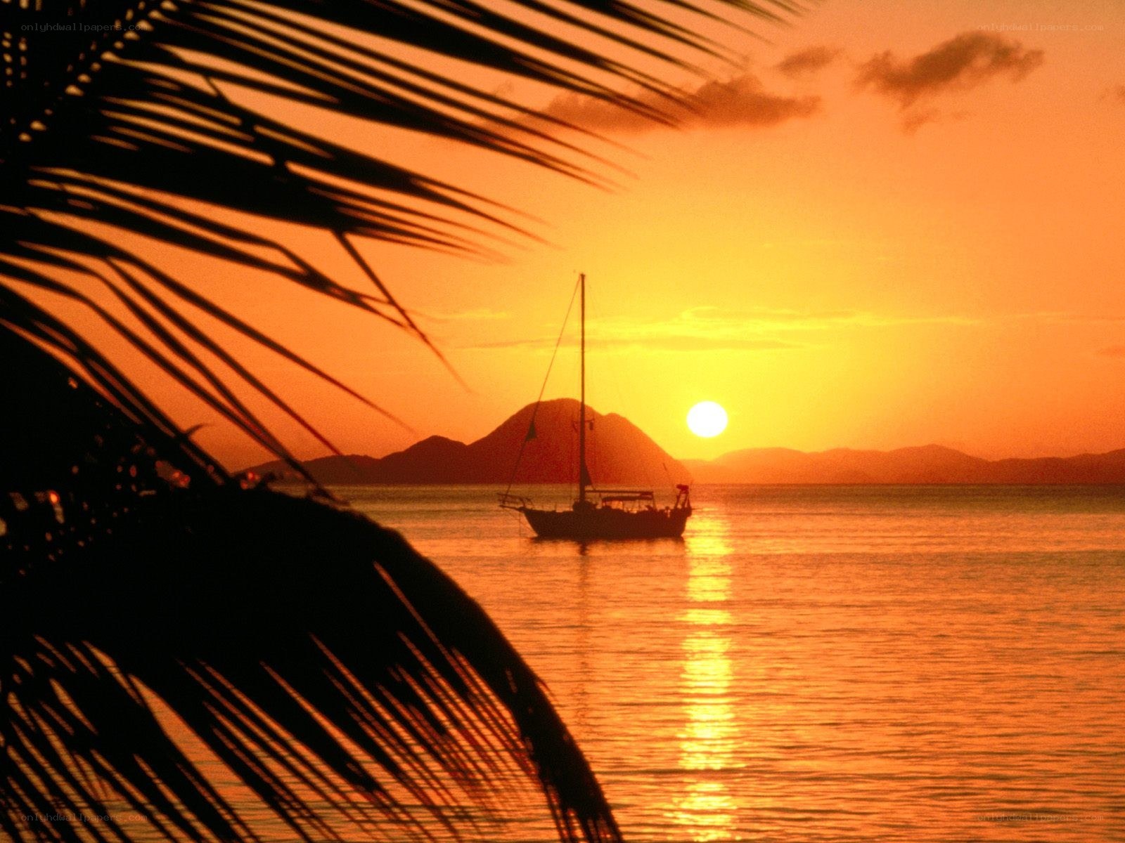 Sunset sailboat at tropical beach