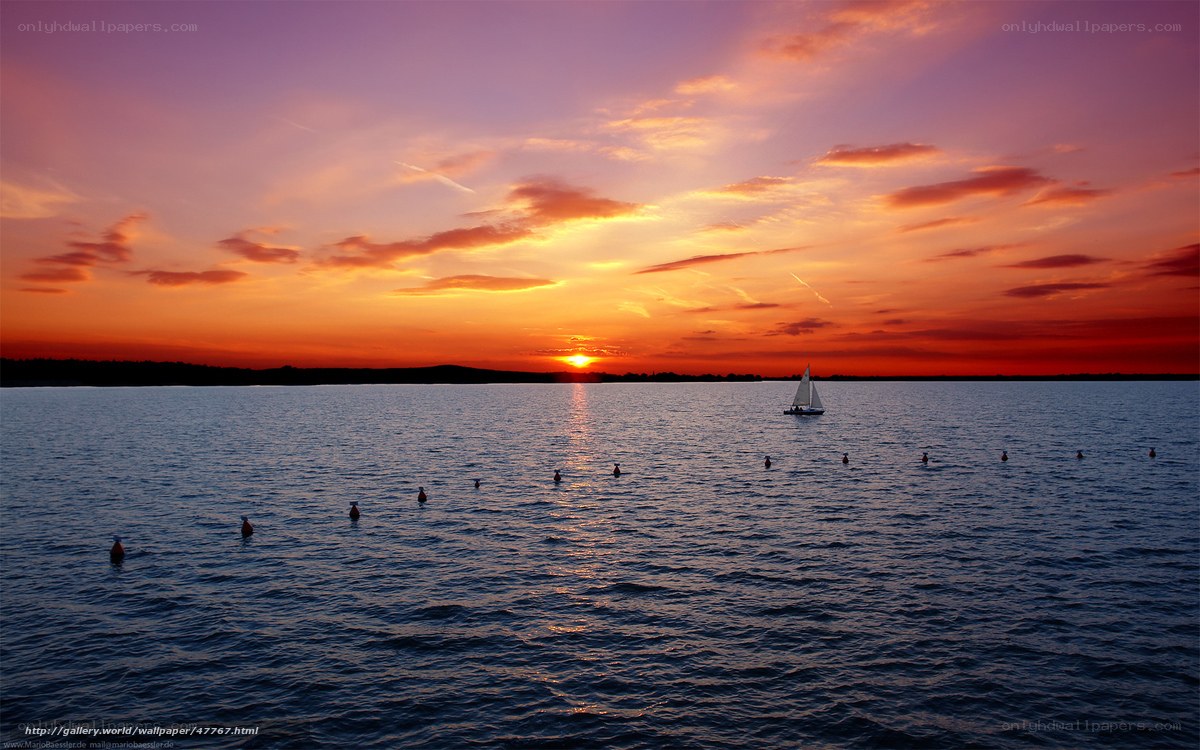 Sunset sailboat on calm water