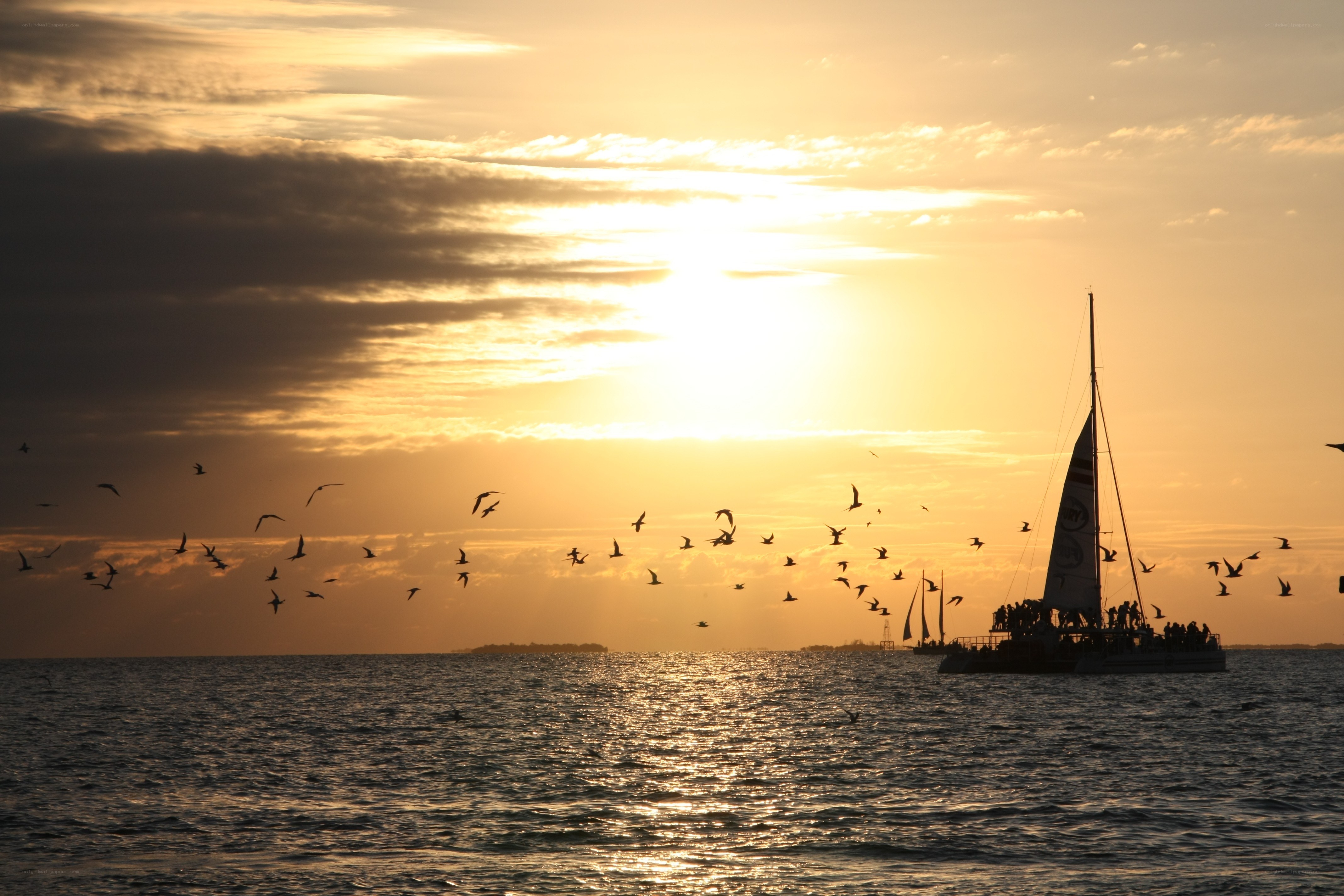Sunset sailboat with birds