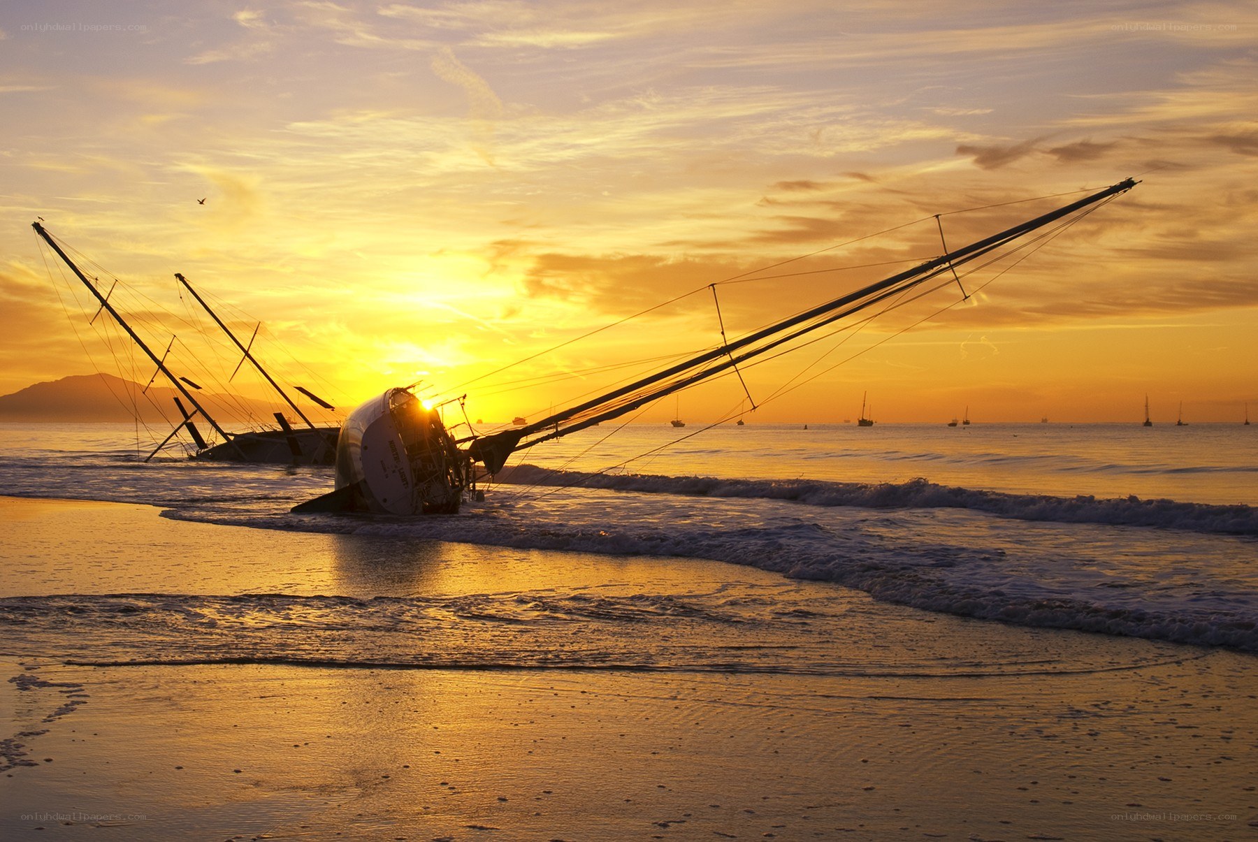 Sunset shipwreck on beach