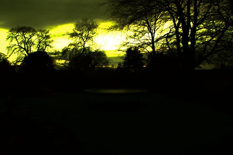 sunset silhouette in backyard