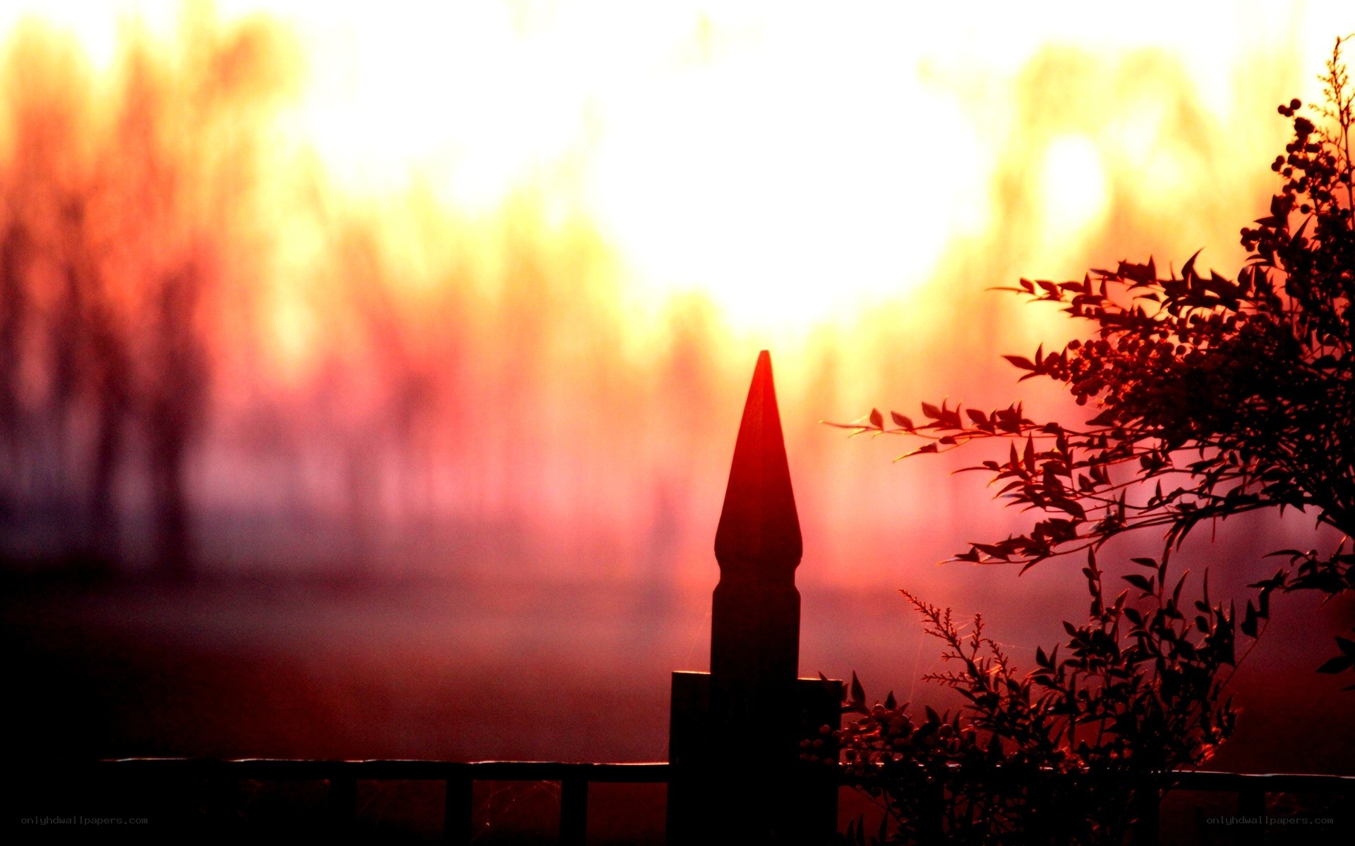 sunset silhouette with fence
